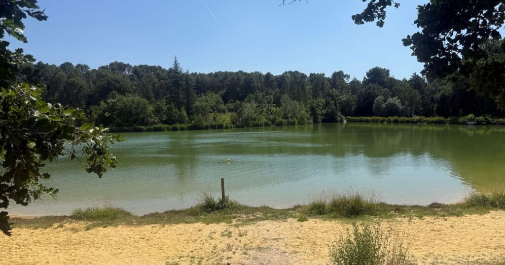 Mormoiron : absence de truites au lac des Salettes en raison de la température de l’eau trop élevée.