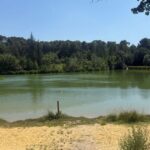 Mormoiron : absence de truites au lac des Salettes en raison de la température de l&rsquo;eau trop élevée.