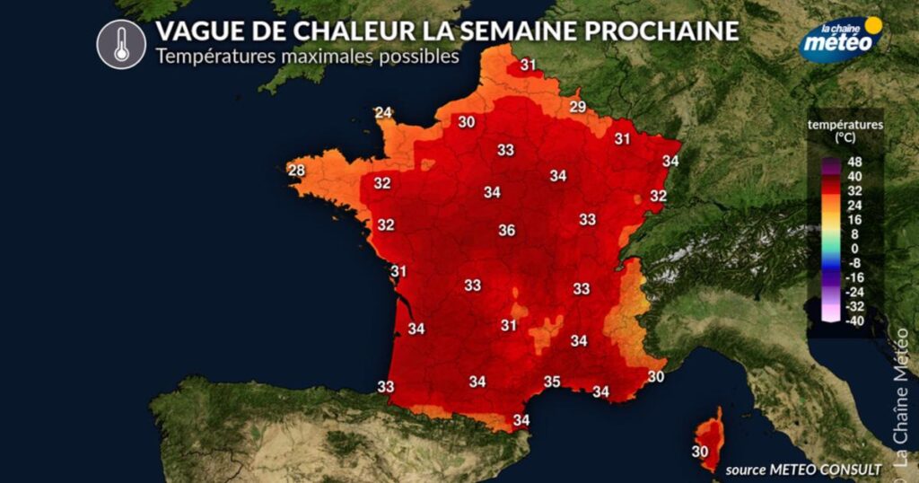 Canicule : Chronologie des alertes et mesures en France face à la vague de chaleur.