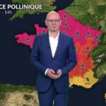 Alerte pollens maximale en France : forte concentration de graminées et d’urticacées prévue.