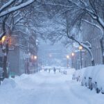 Voyage au Canada en hiver : activités de plein air et conditions climatiques observées.