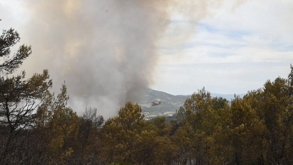 Vigilance orange dans le Gard, l’Hérault et l’Aude pour chaleur intense et risque de feux de forêt.