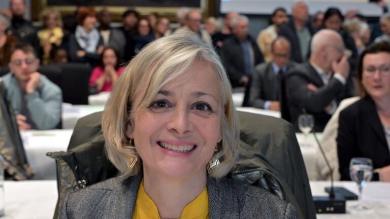 Agen investit 75 000 € dans un « ciel de rue » pour rafraîchir le boulevard de la République.