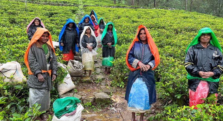 Dette : 55 millions d’emplois féminins menacés dans le secteur mondial
