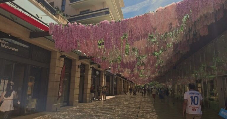 Chaleur : La canopée géante d’Aix-en-Provence réduit la température des Allées Provençales
