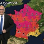 Bulletin pollen : la chaleur augmente la dispersion des graminées en France.