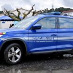 Un nouveau-né abandonné en forêt après un accouchement à domicile par une jeune femme.