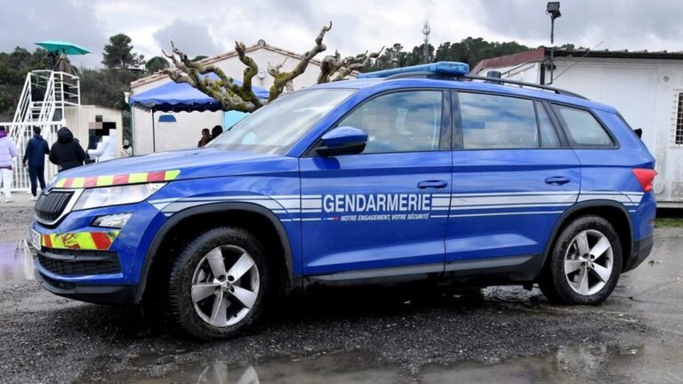 Un nouveau-né abandonné en forêt après un accouchement à domicile par une jeune femme.
