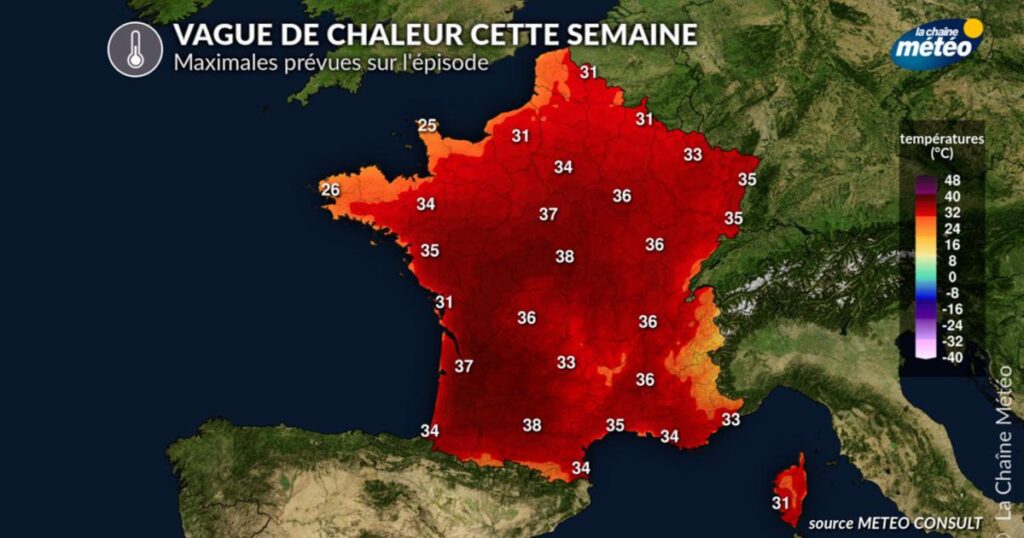 Vague de chaleur en France : des températures proches de 40°C attendues cette semaine.