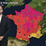 Alerte rouge aux graminées en France face à la canicule et à l&rsquo;air saturé mardi.