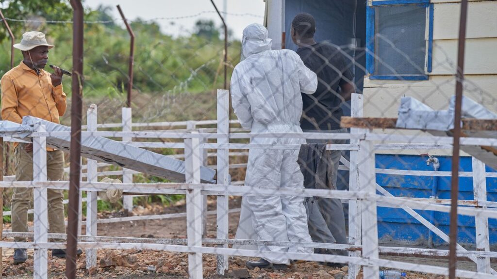 Ebola en RDC : la Croix-Rouge avertit d’une prolongation possible de l’épidémie d’un an.