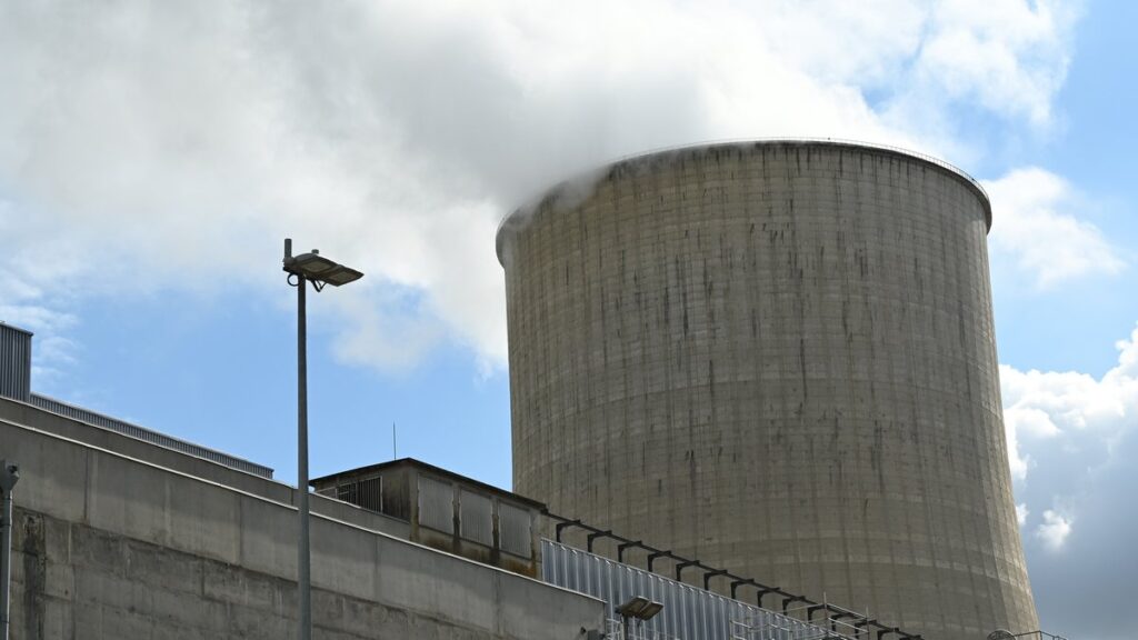 Près de 6 milliards d’animaux aquatiques tués chaque année par les centrales nucléaires en France.
