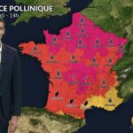 Risque allergique maximal aux pollens dans plusieurs régions du pays ce mercredi.