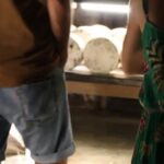 La maison Gabriel Coulet à Roquefort obtient le label « Destination d’Excellence »