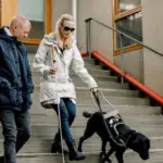 Technologie au service des déficients visuels : solutions pour améliorer la mobilité.