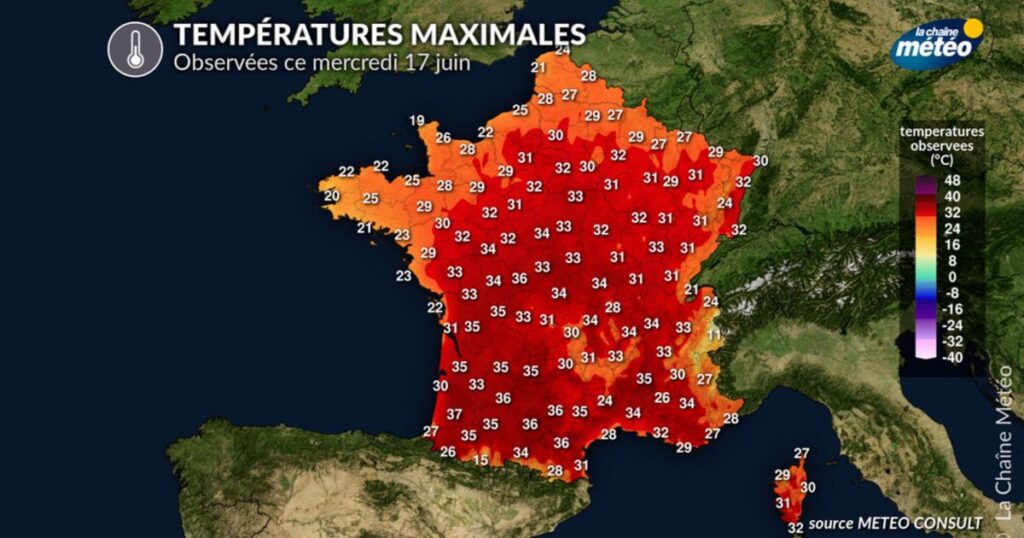 Canicule en France : fortes chaleurs atteignant 37,4°C à Revel, sud du pays.