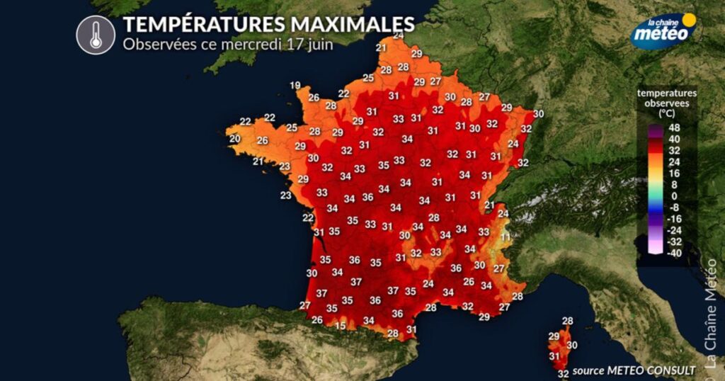 Canicule en France : fortes chaleurs atteignant 37,5°C à Toulouse ce mercredi.