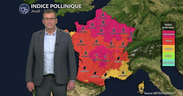 Pollens et allergies : risques très élevés pour la santé dans plusieurs régions du pays