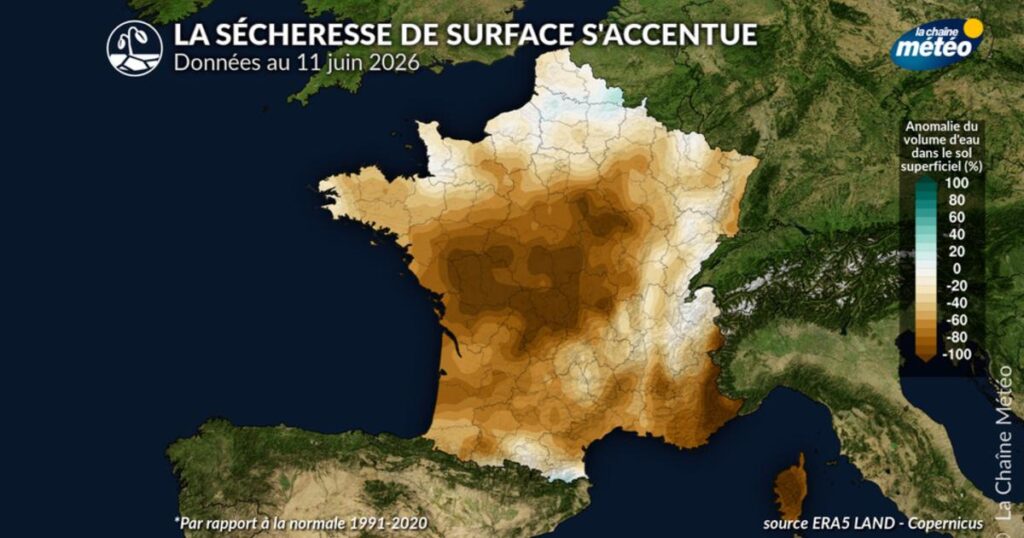 Canicule : l’assèchement rapide des sols inquiète les agriculteurs en France