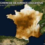 Canicule : l’assèchement rapide des sols inquiète les agriculteurs en France