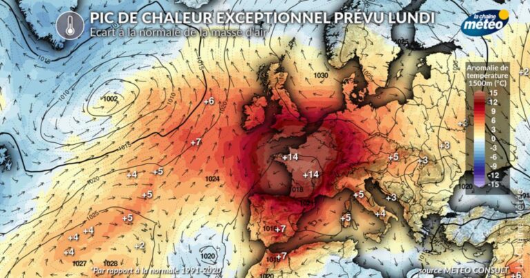 Canicule : analyse des mécanismes d’emballement thermique en France et leurs conséquences
