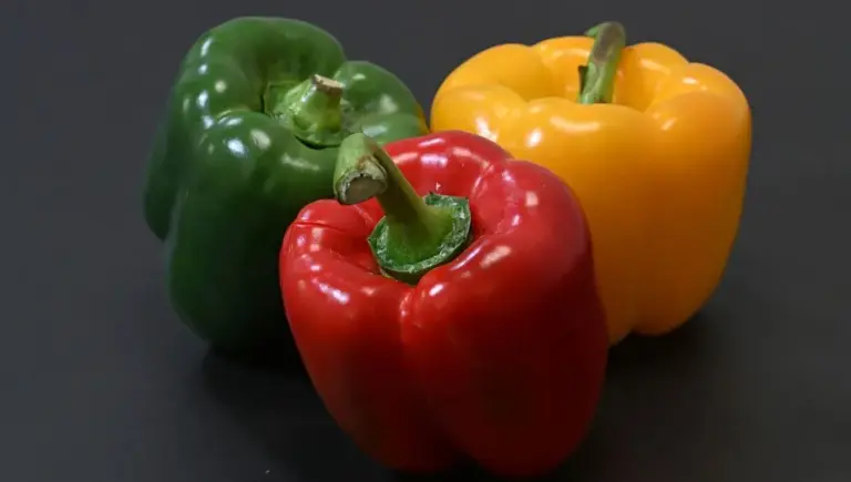 Cuisiner le poivron : méthodes pour optimiser ses saveurs en cuisine professionnelle