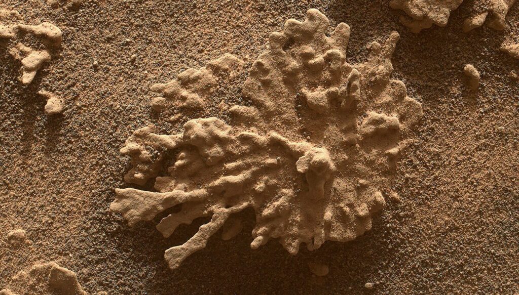 Des chercheurs de la NASA détectent des signes d’activité organique sur Mars.
