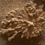 Des chercheurs de la NASA détectent des signes d’activité organique sur Mars.