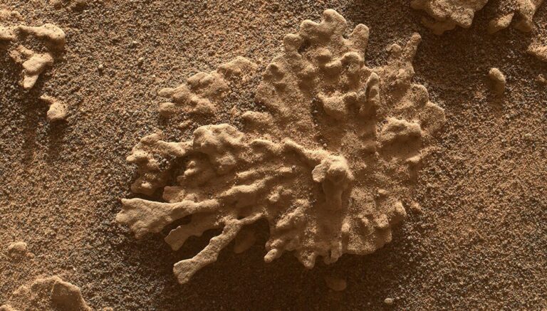 Des chercheurs de la NASA détectent des signes d’activité organique sur Mars.