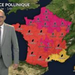 Canicule et pic de graminées : risque maximal pour la santé publique lundi.