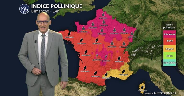 Canicule et pic de graminées : risque maximal pour la santé publique lundi.