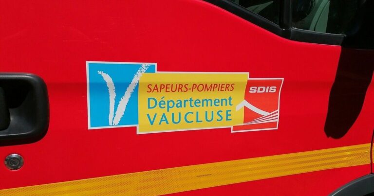 Un incendie consume 2500 mètres carrés de broussailles à Monteux, mobilisant les pompiers.