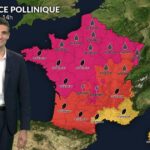 Canicule et pics de pollens : indice pollinique maximal affecte 75 % du territoire national