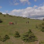 Une famille explore un petit désert avec une ânesse, partageant des moments de câlins.