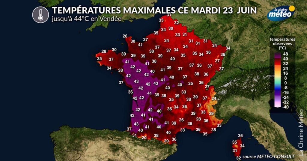 Canicule en Vendée : températures atteignant 44°C ce mardi 23 juin.