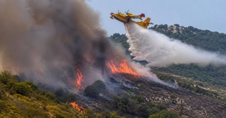 Canicule : risque d’incendie maximal en France cette semaine selon les autorités.