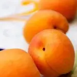 L’abricot dans des recettes internationales : un ingrédient aux multiples saveurs