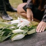 Les tumeurs et maladies cardiovasculaires dominent les causes de décès en France en 2024.