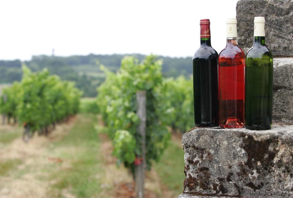 Pécharmant gourmand : la troisième édition à Bergerac attire les amateurs de vin et gastronomie.