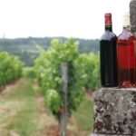 Pécharmant gourmand : la troisième édition à Bergerac attire les amateurs de vin et gastronomie.