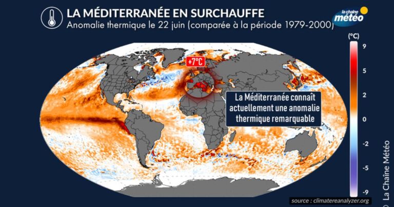 Anomalie thermique en Méditerranée : température atteignant +7°C observée.