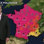 La canicule entraîne des niveaux de pollens très élevés en France, impactant la santé publique.