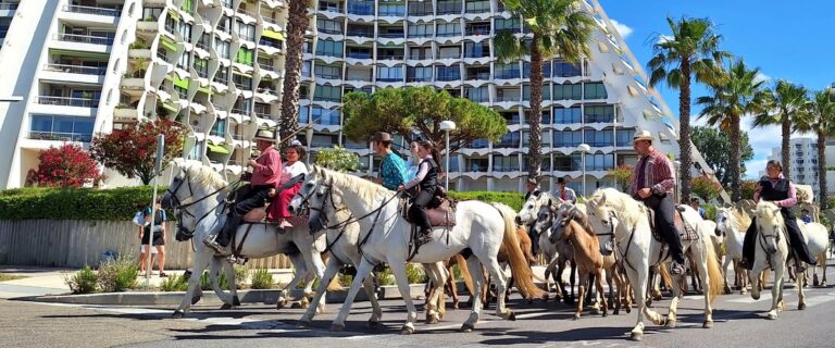 Montpellier : événements culturels et festifs prévus ce week-end dans la ville.
