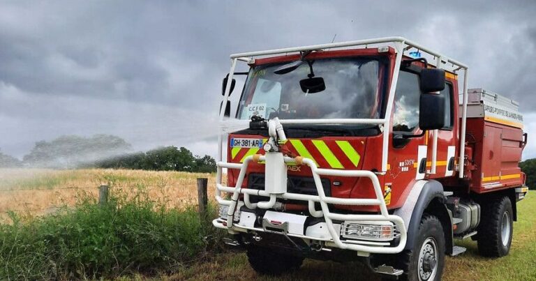 Plus de 20 hectares de végétation brûlés en Haute-Vienne, intervention des pompiers en cours.