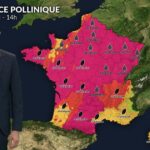 Pollens et allergies : risque élevé ce samedi malgré la baisse des températures.