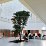 Conflit entre Fabre et Azéma sur la gestion hospitalière après la défaite du maire RN
