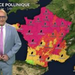 Pollens en France : vigilance recommandée malgré une amélioration des allergies lundi.