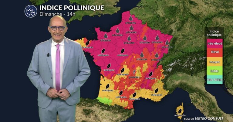 Pollens en France : vigilance recommandée malgré une amélioration des allergies lundi.