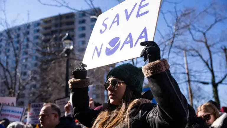 Des climatologues licenciés sous Trump lancent un site alternatif pour partager des données.