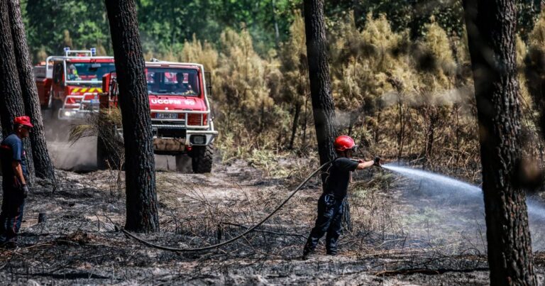 Feux de forêts : le Vaucluse en vigilance rouge, sept départements du Sud en orange.